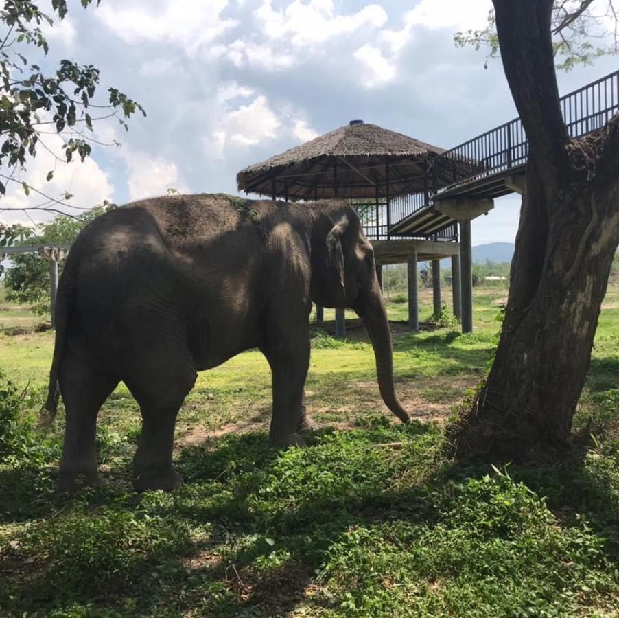 Elephant View Camp Ban Huai Thawai Exterior photo